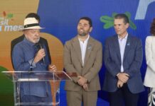 Template Colunistas – Yhuldes Giovani