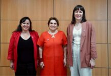 Template Colunistas – Yhuldes Giovani