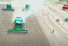 Template Colunistas – Yhuldes Giovani