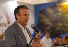 Template Colunistas – Yhuldes Giovani