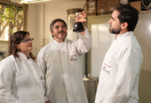 Template Colunistas – Yhuldes Giovani