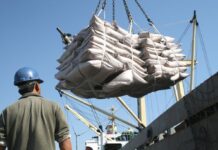 Template Colunistas – Yhuldes Giovani