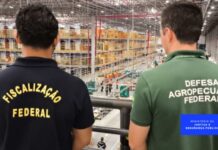 Template Colunistas – Yhuldes Giovani