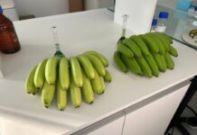 Template Colunistas – Yhuldes Giovani