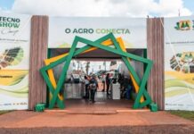 Template Colunistas – Yhuldes Giovani