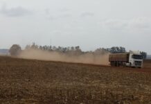 Template Colunistas – Yhuldes Giovani