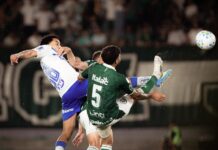 Template Colunistas – Yhuldes Giovani