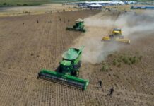 Template Colunistas – Yhuldes Giovani