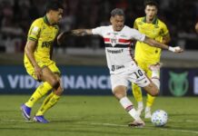 Template Colunistas – Yhuldes Giovani