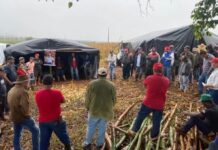 Template Colunistas – Yhuldes Giovani