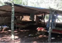 Template Colunistas – Yhuldes Giovani