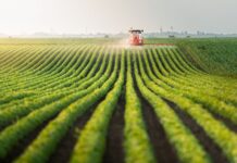 Template Colunistas – Yhuldes Giovani