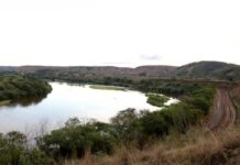 Template Colunistas – Yhuldes Giovani