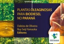 Template Colunistas – Yhuldes Giovani