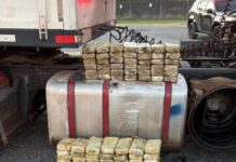 Template Colunistas – Yhuldes Giovani