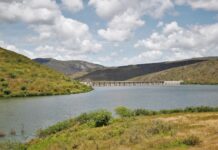 Template Colunistas – Yhuldes Giovani