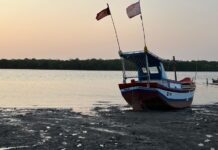 Template Colunistas – Yhuldes Giovani