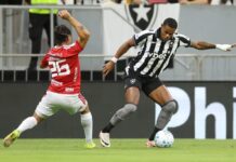 Template Colunistas – Yhuldes Giovani