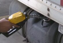 Template Colunistas – Yhuldes Giovani