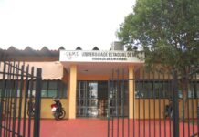 Template Colunistas – Yhuldes Giovani