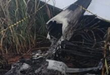 Template Colunistas – Yhuldes Giovani