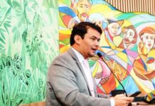 Template Colunistas – Yhuldes Giovani