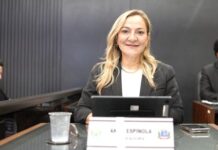 Template Colunistas – Yhuldes Giovani