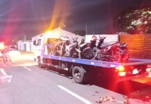 Template Colunistas – Yhuldes Giovani