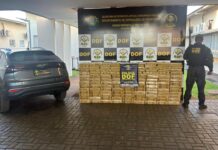 Template Colunistas – Yhuldes Giovani