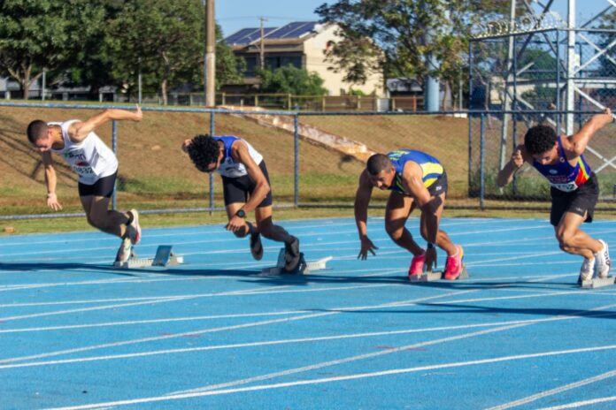 WhatsApp Image 2026-04-08 at 16.26.28 (1)