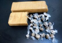 Template Colunistas – Yhuldes Giovani