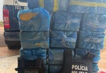 Template Colunistas – Yhuldes Giovani