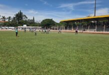 Template Colunistas – Yhuldes Giovani