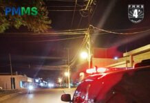 Template Colunistas – Yhuldes Giovani