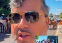 Template Colunistas – Yhuldes Giovani