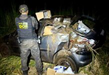 Template Colunistas – Yhuldes Giovani