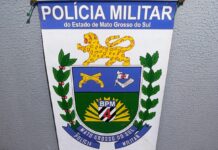 Template Colunistas – Yhuldes Giovani