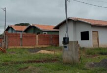 Template Colunistas – Yhuldes Giovani