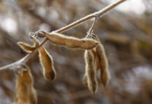 Template Colunistas – Yhuldes Giovani