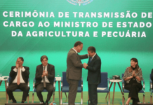 Template Colunistas – Yhuldes Giovani