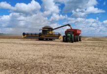 Template Colunistas – Yhuldes Giovani