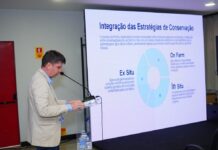 Template Colunistas – Yhuldes Giovani