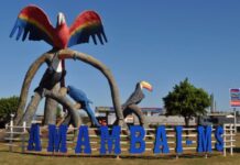 Template Colunistas – Yhuldes Giovani