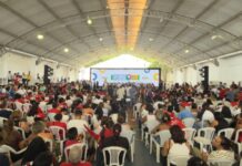 Template Colunistas – Yhuldes Giovani