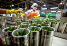 Template Colunistas – Yhuldes Giovani