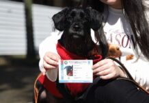 Template Colunistas – Yhuldes Giovani