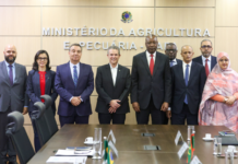 Template Colunistas – Yhuldes Giovani