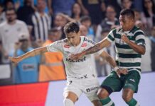 Template Colunistas – Yhuldes Giovani