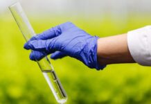 Template Colunistas – Yhuldes Giovani