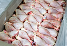 Template Colunistas – Yhuldes Giovani